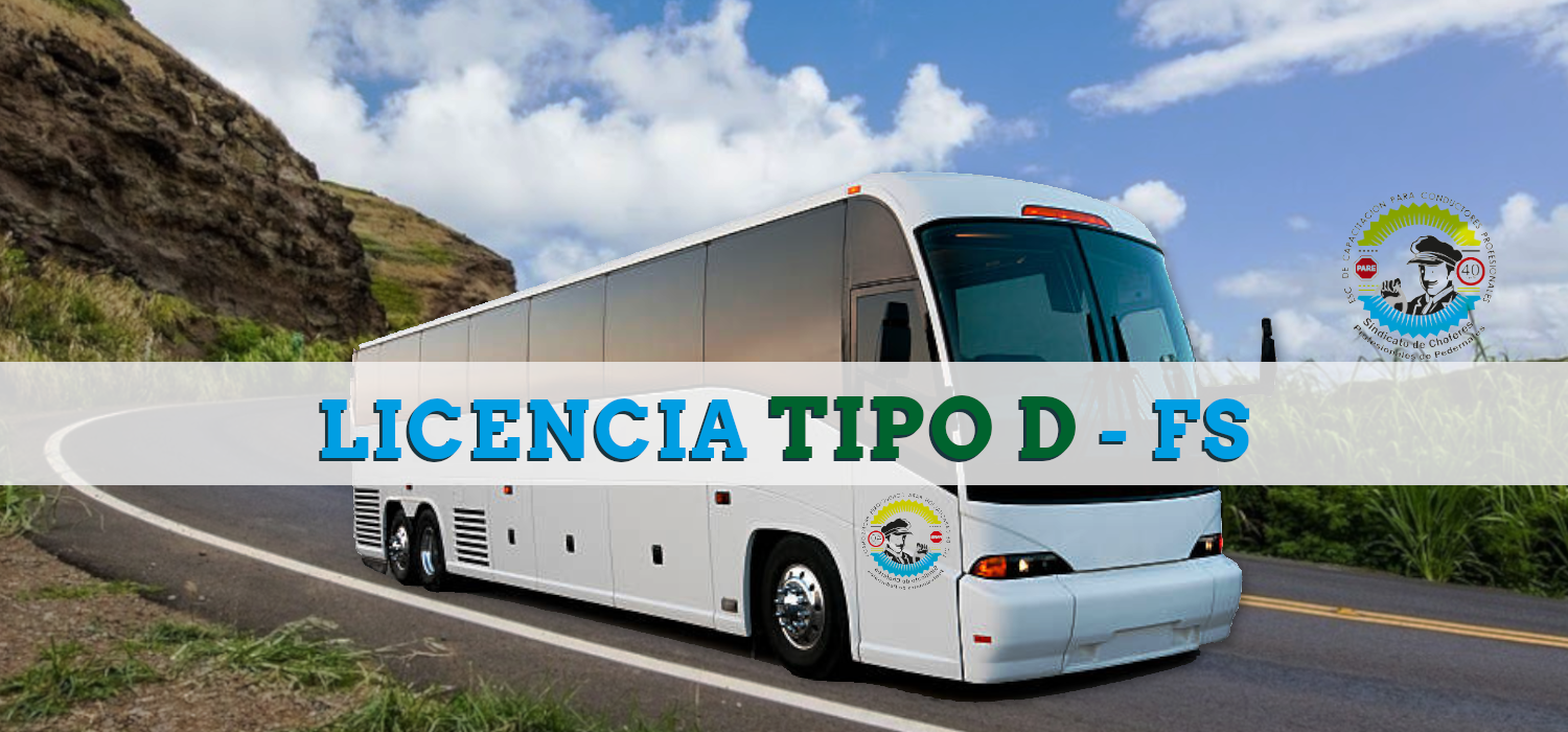 Curso D - FS - Nov - Dic 2022